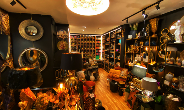 Reims : Harold Boutique, la décoration dans tous ses états !