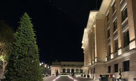 Epernay : le début de l’Avenue de Champagne by night.