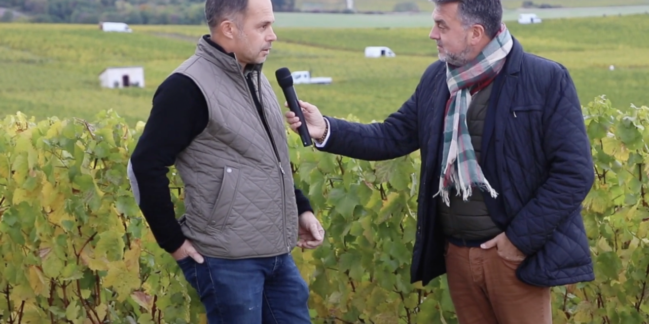 Chouilly : A la découverte du Champagne Michel Genet dans la Côte des Blancs.
