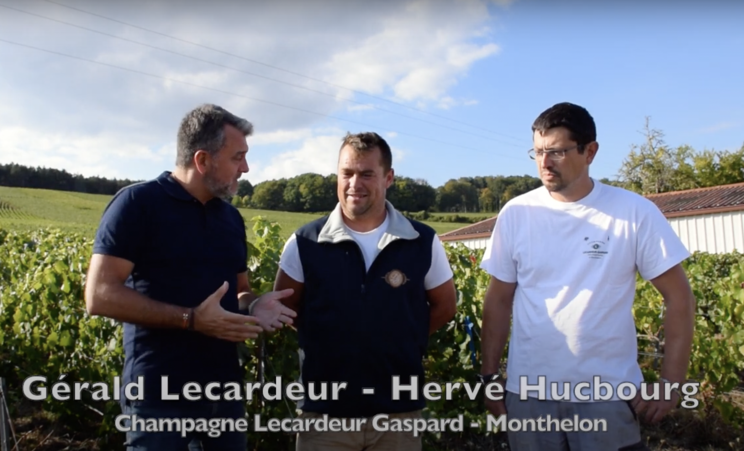 Monthelon : Retour sur la fin des vendanges, Champagne Lecardeur Gaspard