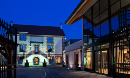 Vrigny (51) : Le Clos des Terres Soudées, une superbe demeure d’hôtes rythmée par le Champagne