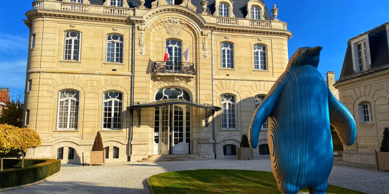 Reims : « Rudy » pour les intimes. Le manchot empereur « Rudement chaud » sur la Banquise du Champagne Jacquart
