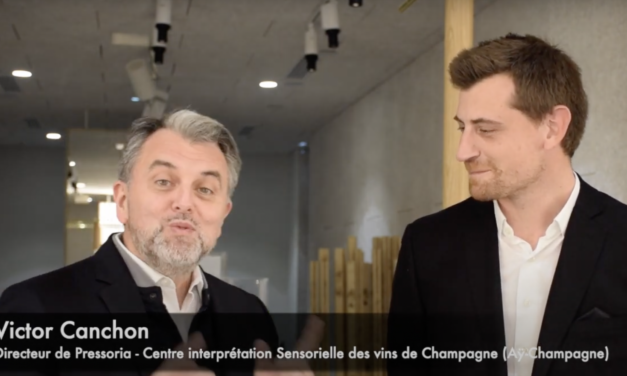 Aÿ-Champagne : Avant son ouverture, découverte de Pressoria, le Centre d’interprétation sensorielle des Vins de Champagne