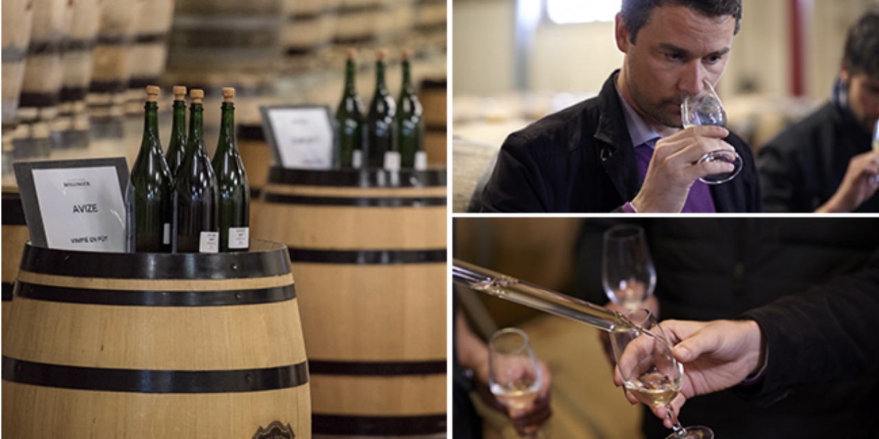 Aÿ-Champagne : Avez-vous déjà déguster des vins clairs ? Une expérience que vous propose la Maison Bollinger