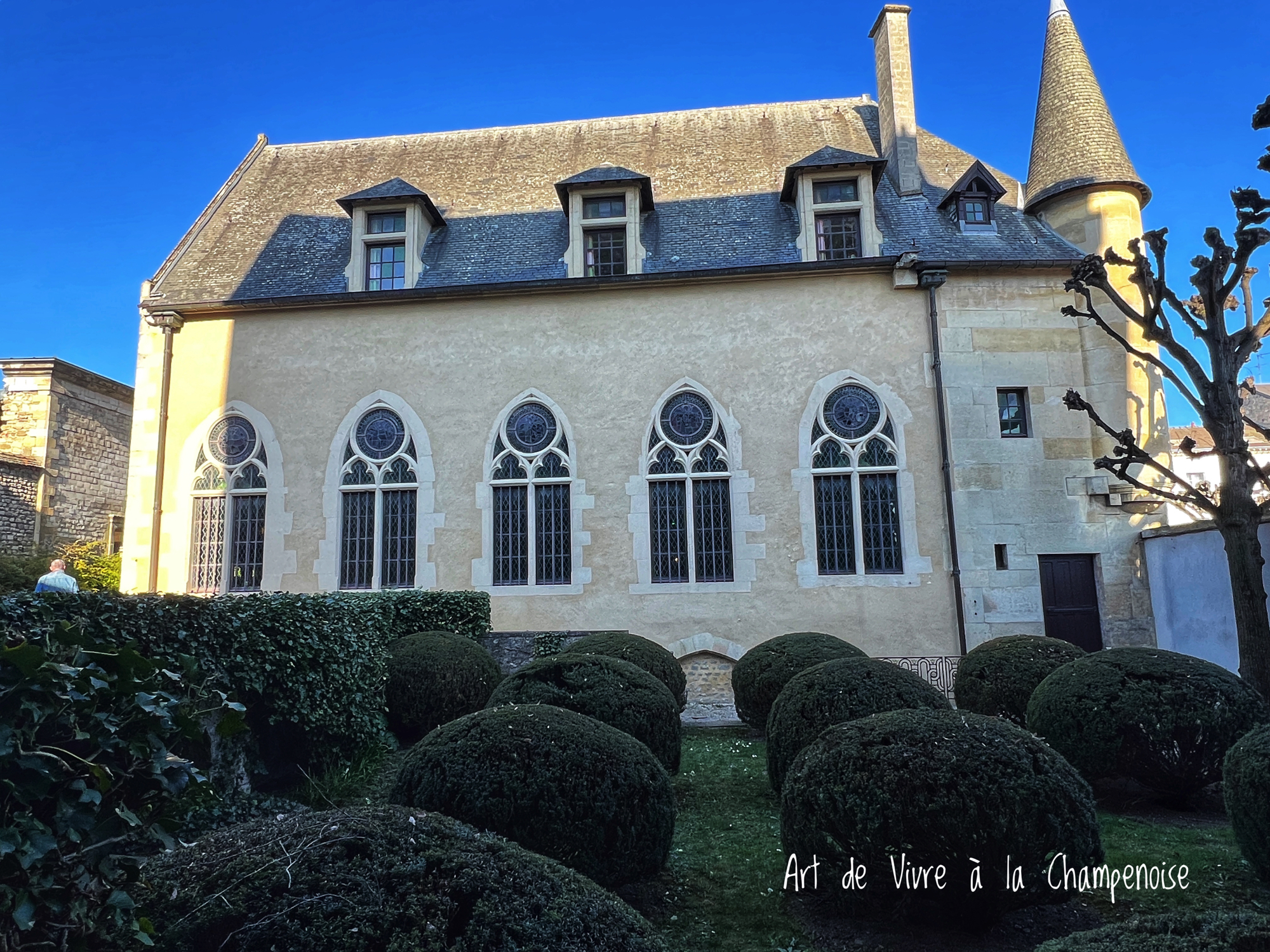 Reims : le Jardin du Musée Le Vergeur, un petit trésor caché en centre-ville