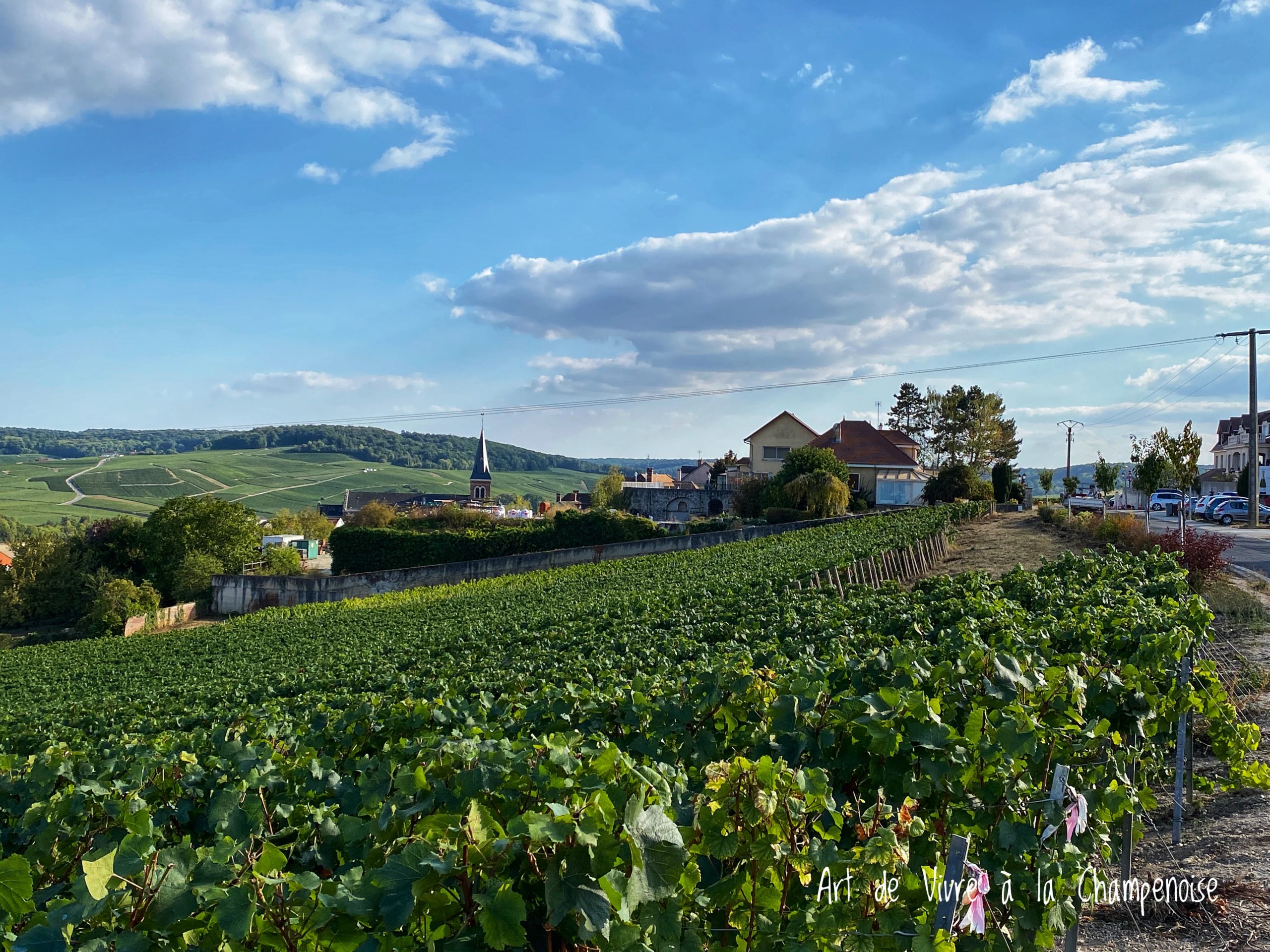 Monthelon : Les Rencontres Vigneronnes, un village en fête, et une guinguette les 6, 7 et 8 mai prochains