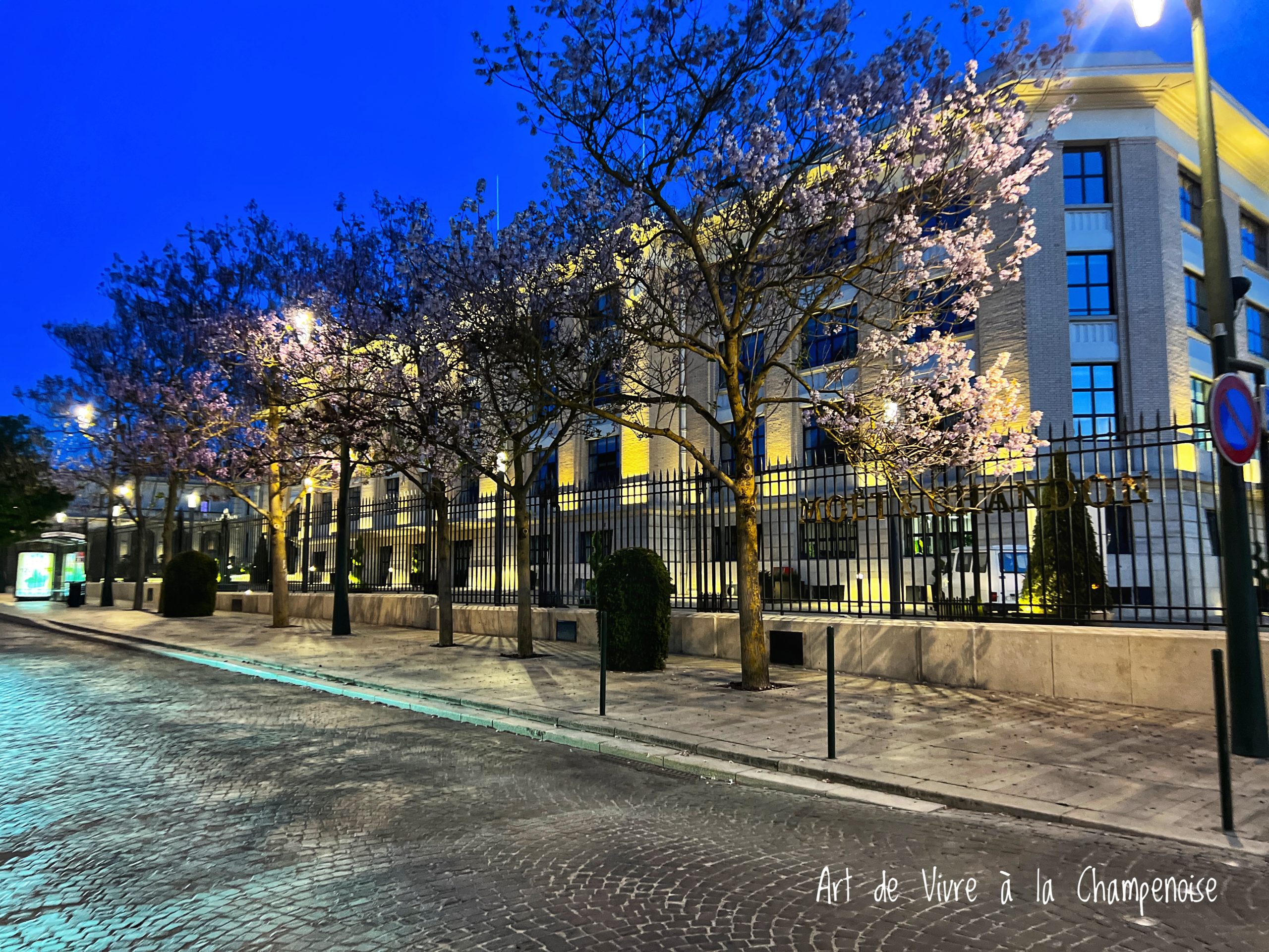 Epernay : découvrez l’histoire de l’Avenue de Champagne lors d’une balade nocturne