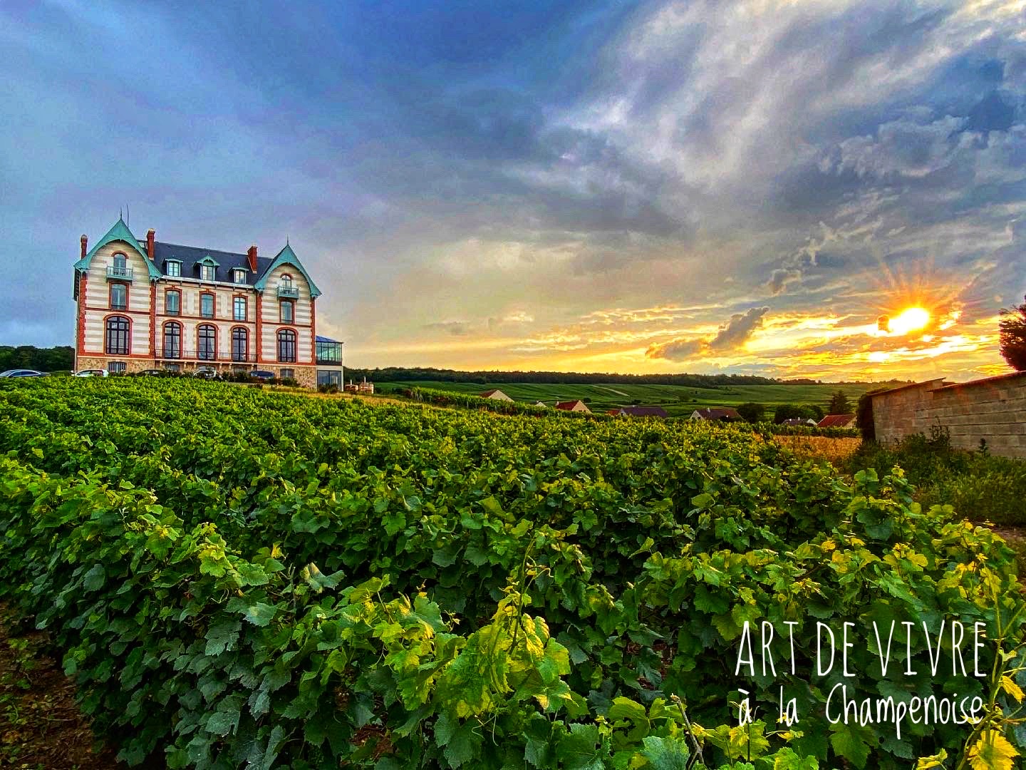 Sacy : Le château fête ses 5 années dans le vignoble !