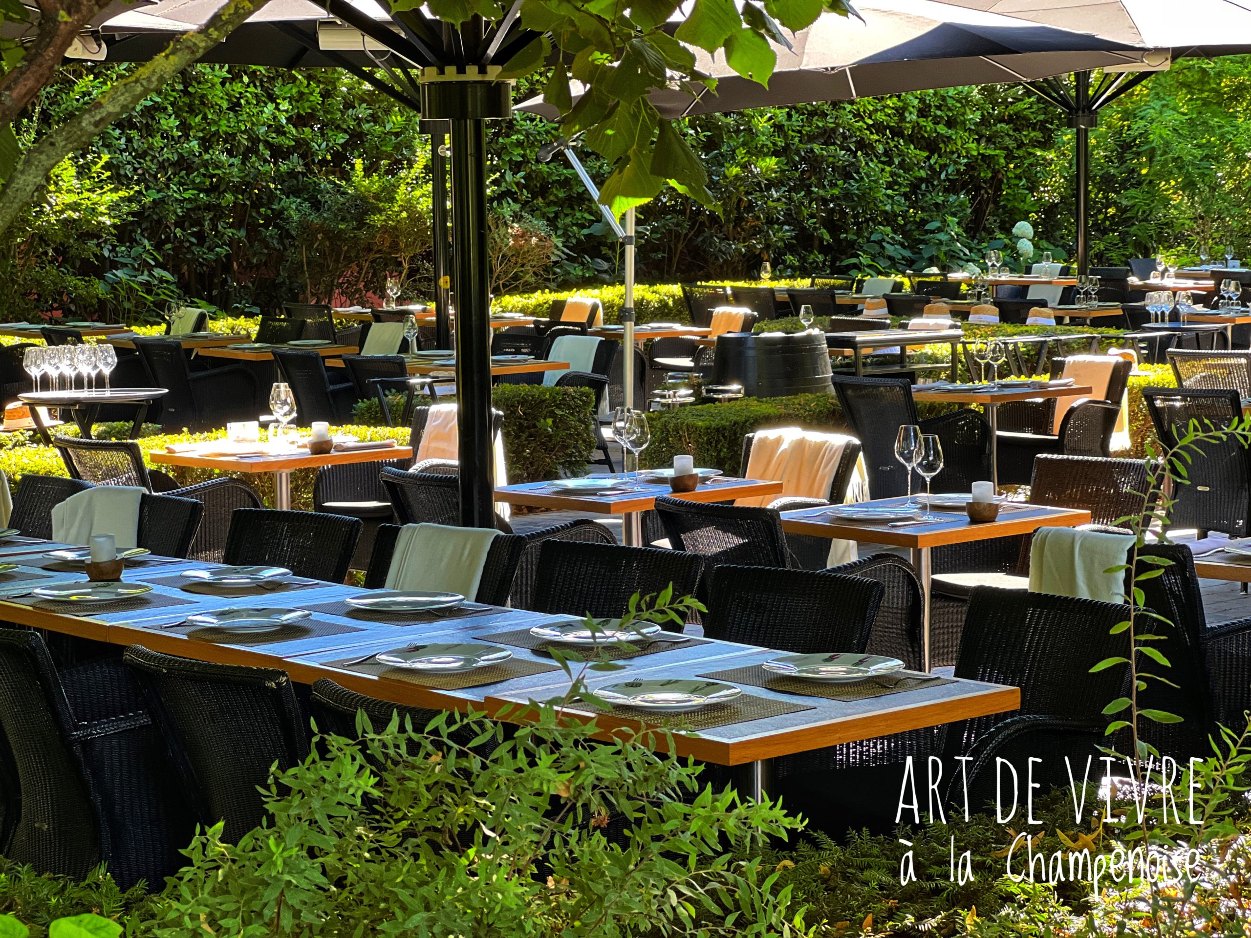 Reims : La Brasserie Le Jardin des Crayères, pour un déjeuner entouré de verdure
