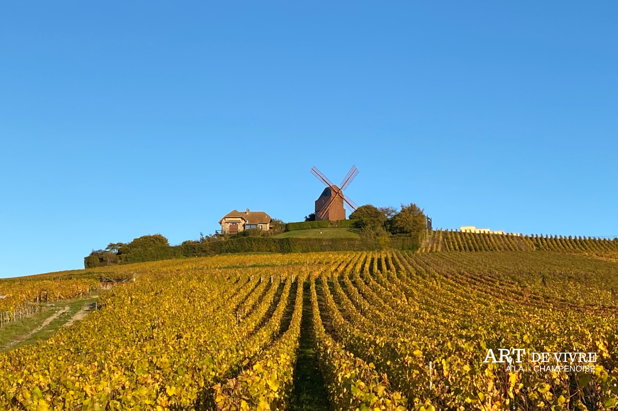 L’automne en Champagne, une saison magnifique pour une visite