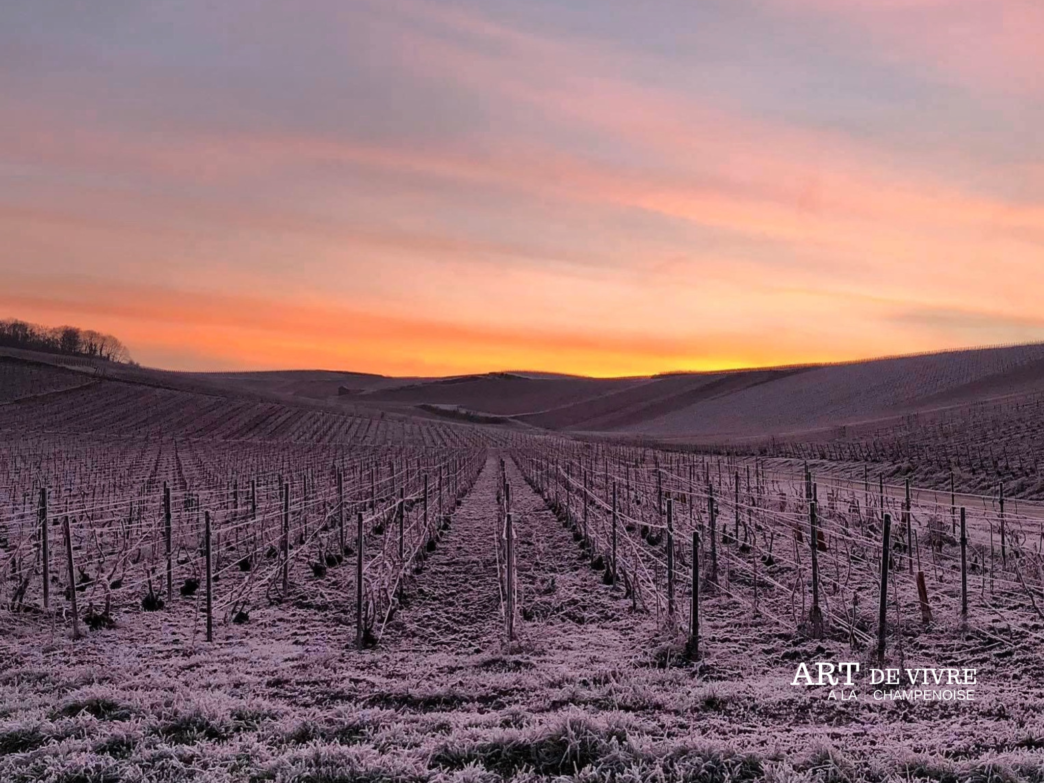 La Champagne : Paysages enneigés