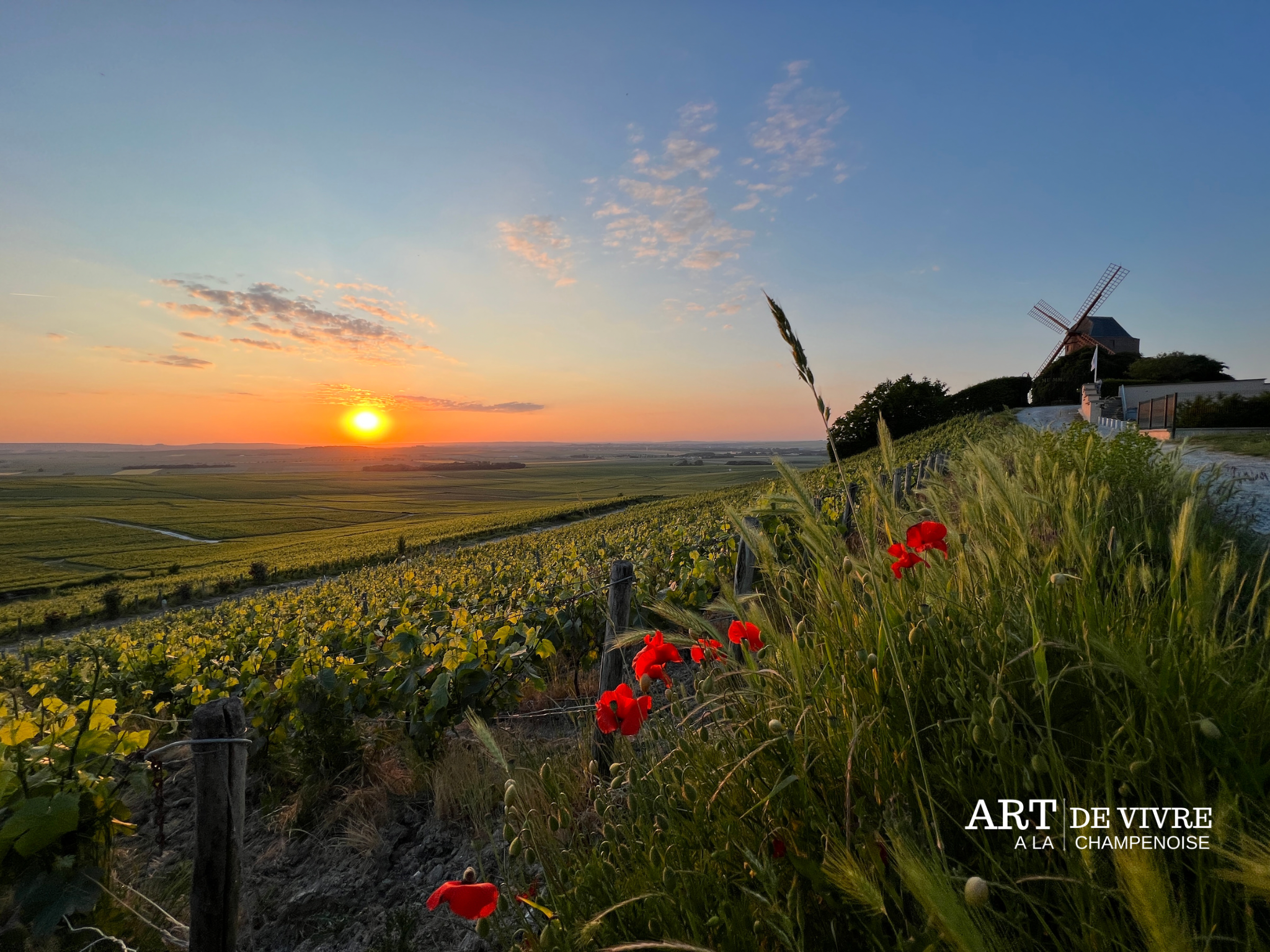 Paysages : Sunset autour du Moulin de Verzenay