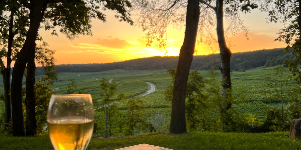 Hautvillers : Profitez d’un Pique-Nique Magique avec Vue sur la Vallée de la Marne au Soleil Couchant 
