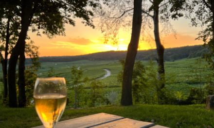 Hautvillers : Profitez d’un Pique-Nique Magique avec Vue sur la Vallée de la Marne au Soleil Couchant 