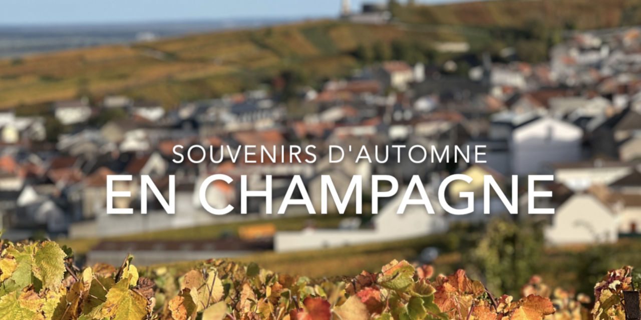 Souvenirs d’Automne en Champagne