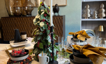 Reims : DP Home, le concept Store – De l’Elégance de la décoration aux idées cadeaux pour Noël