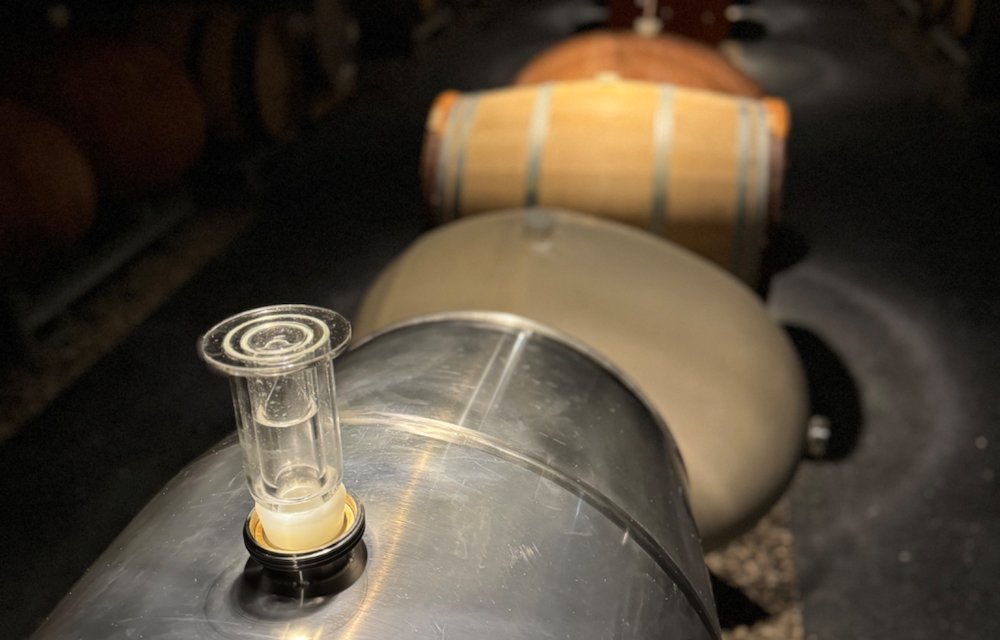 Epernay : Champagne Leclerc-Briant, une Odyssée Pétillante entre Histoire, Innovation et Biodynamie