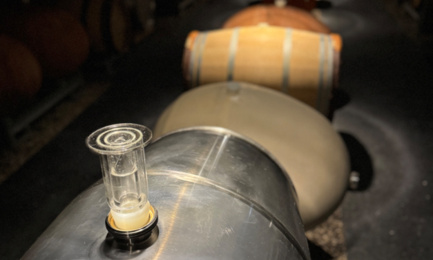 Epernay : Champagne Leclerc-Briant, une Odyssée Pétillante entre Histoire, Innovation et Biodynamie