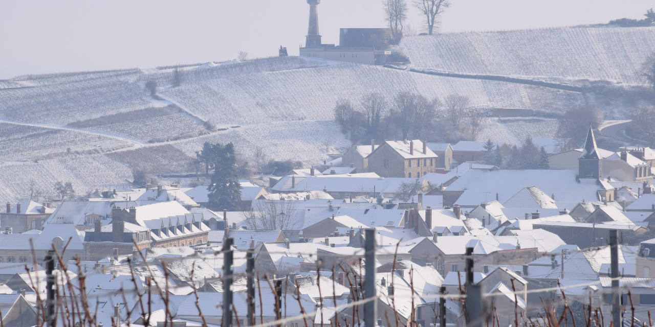 Paysages de Champagne : Quand la neige habille de blanc le vignoble autour de Verzenay