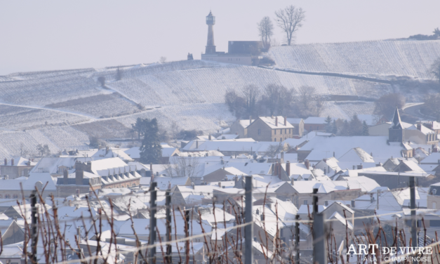 Paysages de Champagne : Quand la neige habille de blanc le vignoble autour de Verzenay