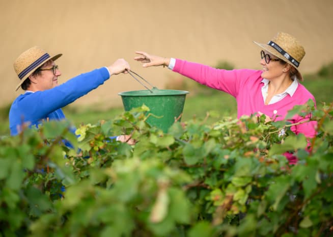 Champagne Varicour : la nouvelle marque lancée par Séverine Couvreur et son mari Aymeric.