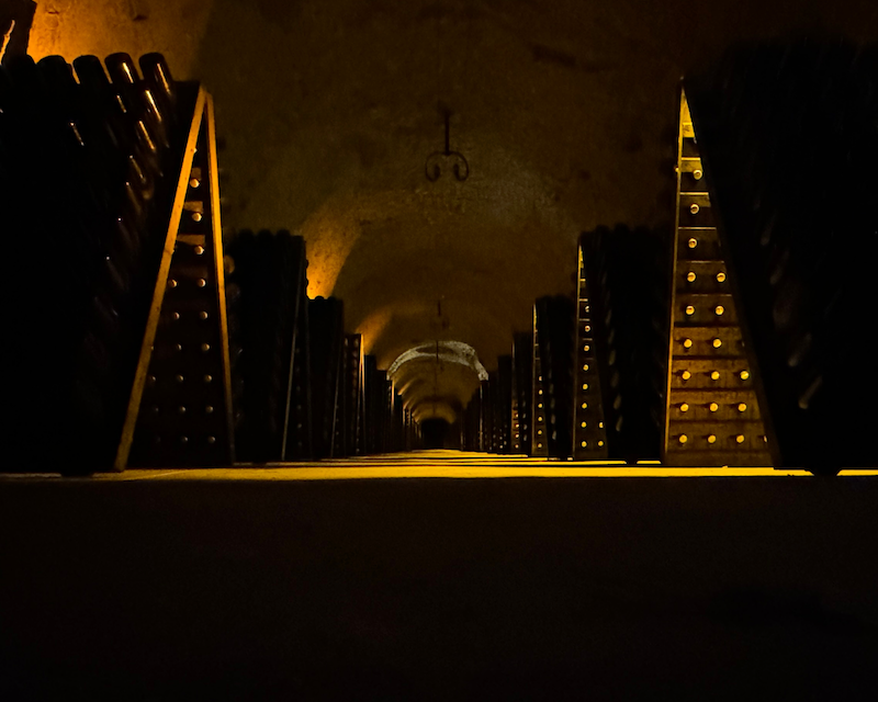 Châlons-en-Champagne : Le Champagne Joseph-Perrier inaugure la « Galerie 1825 » et sa distinction à la Mission Patrimoine Unesco