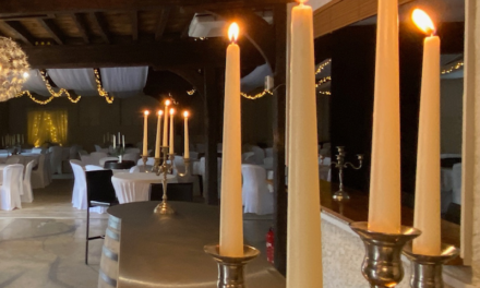 Pierry : Le domaine Miltat, un espace exceptionnel pour vos évènements et un gîte de grande capacité au coeur du vignoble
