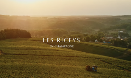 Les Riceys : Visite de ce magnifique village de Champagne au travers de la Maison Alexandre Bonnet
