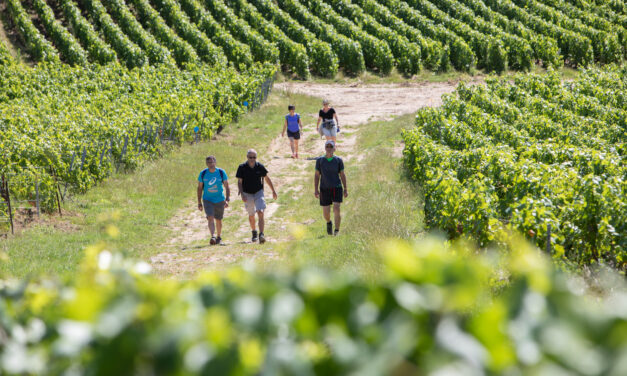 A pied ou à vélo : Dimanche 30 juin, la 7è Marche des Réconciliations partira de Dormans.
