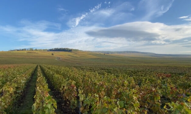 Ambonnay – Deva Wild Festival au Champagne Marguet, le 1er festival de mantras en Champagne