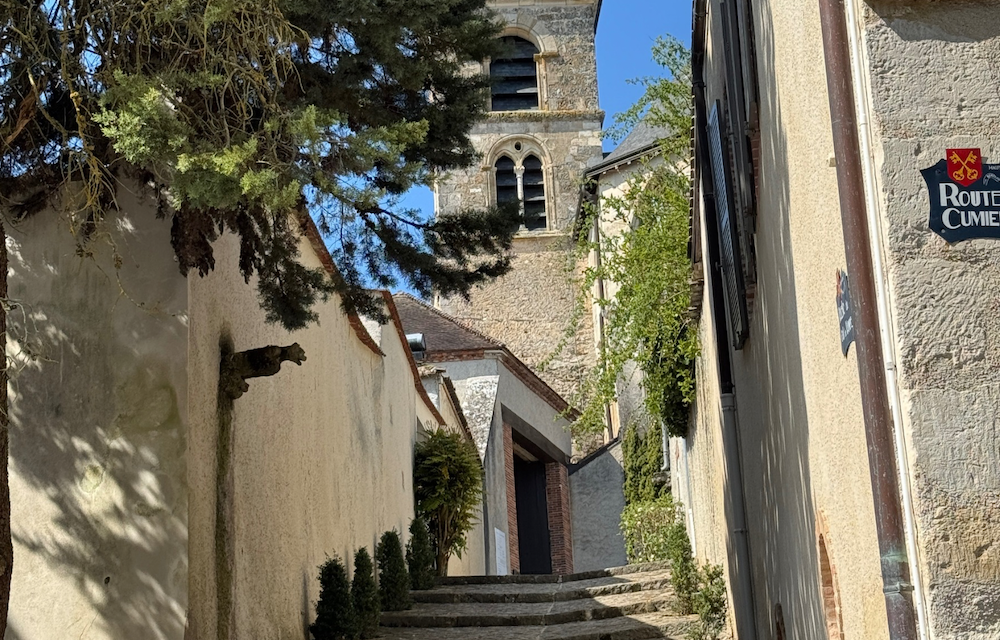 Printemps à Hautvillers : panorama, patrimoine et douceur de vivre en Champagne