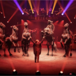 OFFRE VIP Cirque Arlette GRUSS : Privilège exceptionnel pour seulement 50 spectateurs !