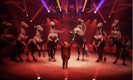 OFFRE VIP Cirque Arlette GRUSS : Privilège exceptionnel pour seulement 50 spectateurs !