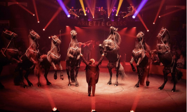OFFRE VIP Cirque Arlette GRUSS : Privilège exceptionnel pour seulement 50 spectateurs !