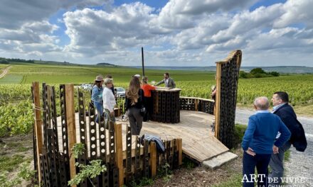 Chouilly : Volupte dans les vignes
