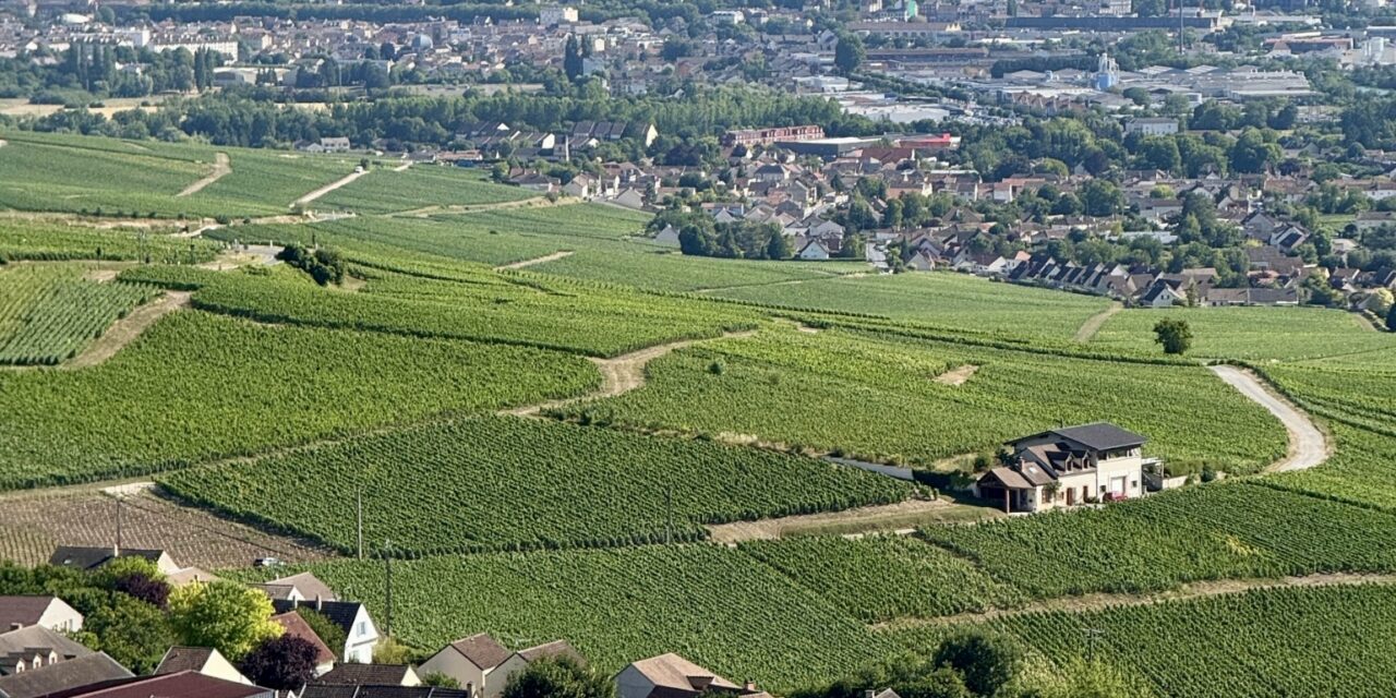 Journée Portes Ouvertes Gîtes de France Marne : osez ouvrir votre gîte en Champagne