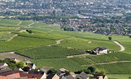 Journée Portes Ouvertes Gîtes de France Marne : osez ouvrir votre gîte en Champagne