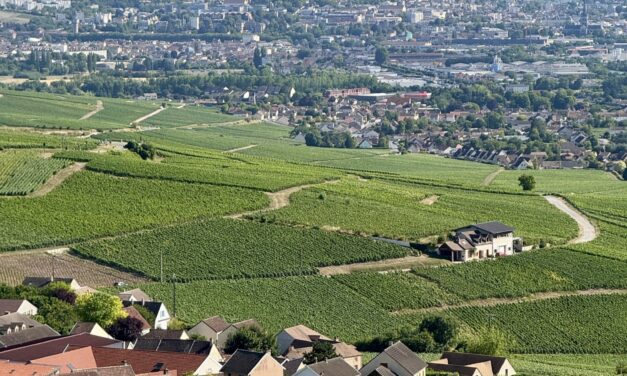 Journée Portes Ouvertes Gîtes de France Marne : osez ouvrir votre gîte en Champagne