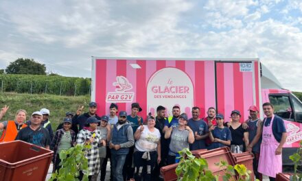 Le Glacier des Vendanges : une parenthèse fraîcheur signée G2V