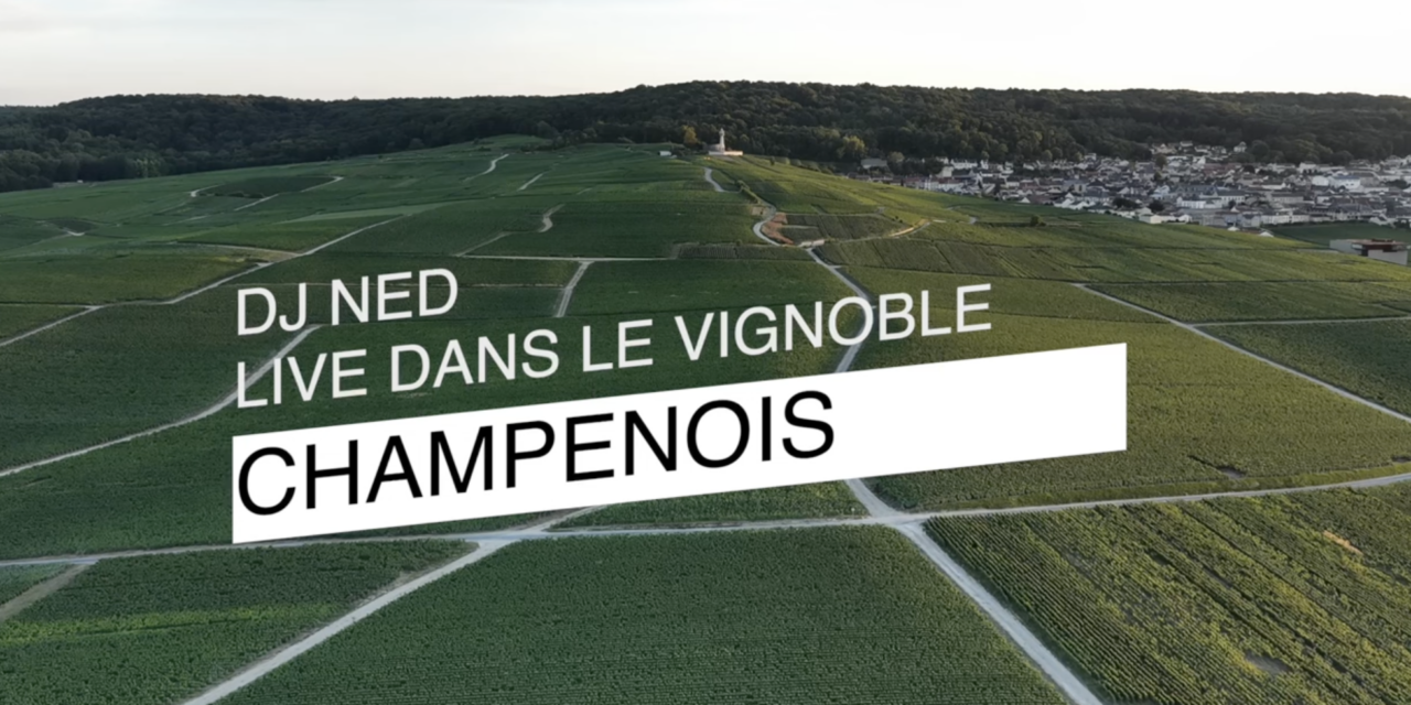 LIVE au pied du phare de Verzenay : DJ NED enflamme le vignoble champenois !