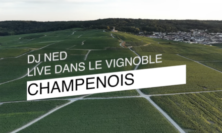 LIVE au pied du phare de Verzenay : DJ NED enflamme le vignoble champenois !