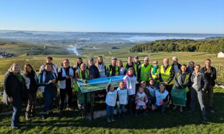 Villages et Coteaux Propres : la Champagne mobilisée le 4 octobre