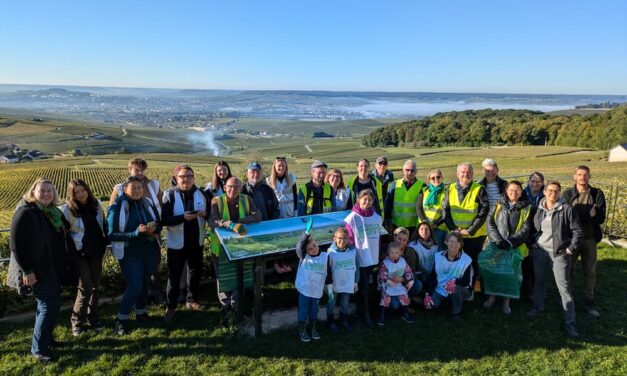 Villages et Coteaux Propres : la Champagne mobilisée le 4 octobre