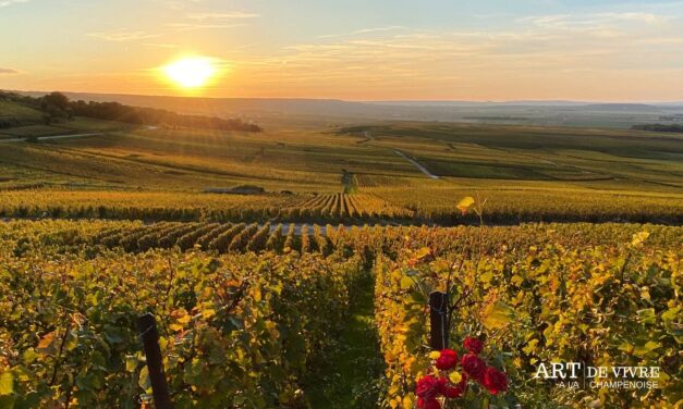 Climat et Champagne : entre adaptation viticole et maîtrise microbiologique (Olivier Piazza)