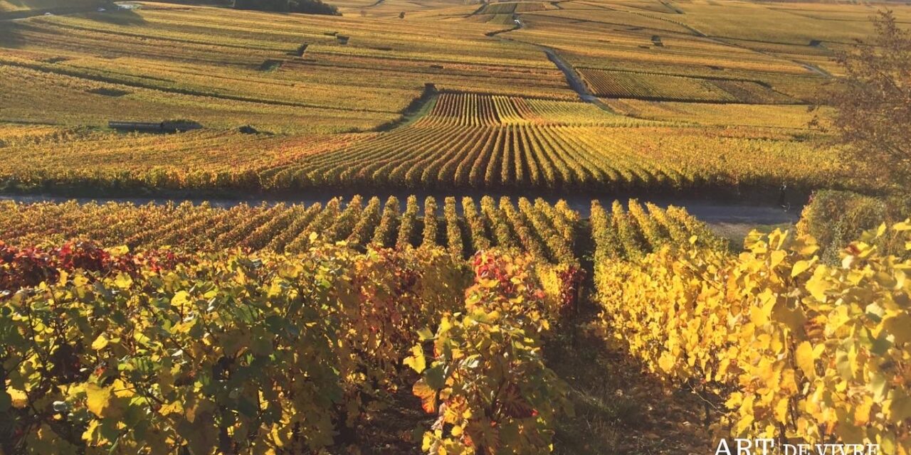 Préserver les héritages : la Champagne au cœur d’un workshop international