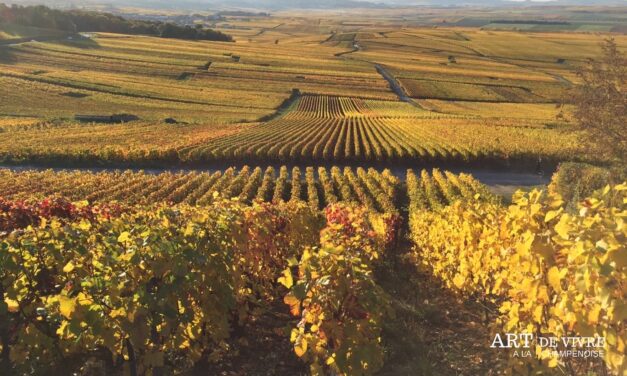 Préserver les héritages : la Champagne au cœur d’un workshop international