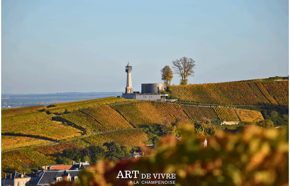 La Champagne en automne : un spectacle doré entre vignes et lumière