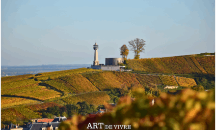 La Champagne en automne : un spectacle doré entre vignes et lumière