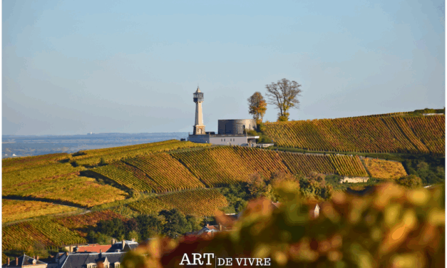 La Champagne en automne : un spectacle doré entre vignes et lumière