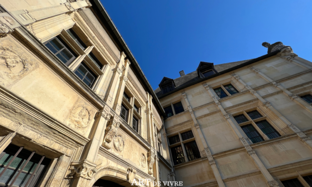 Reims : le Jardin du Musée Le Vergeur, un petit trésor caché en centre-ville